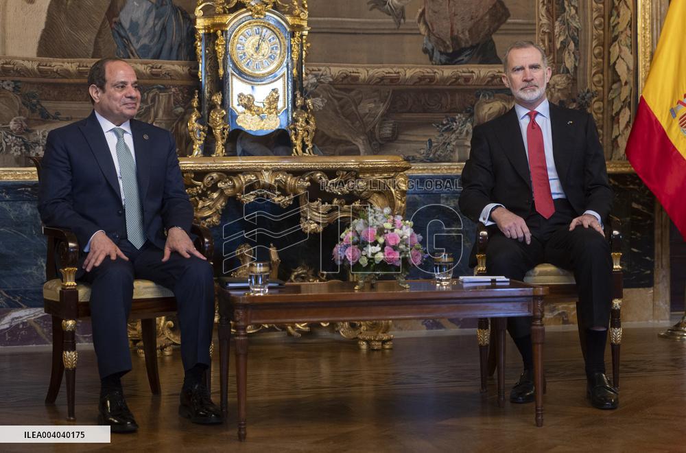 King Felipe Meets With President Of Egyp Al-Sisi - Madrid