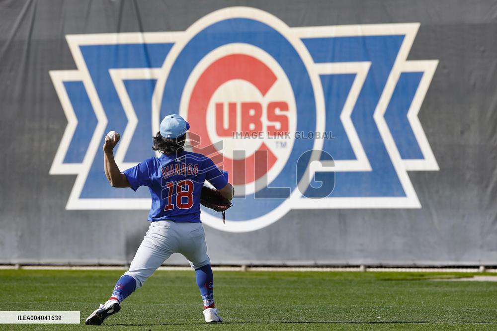 Baseball: MLB spring training