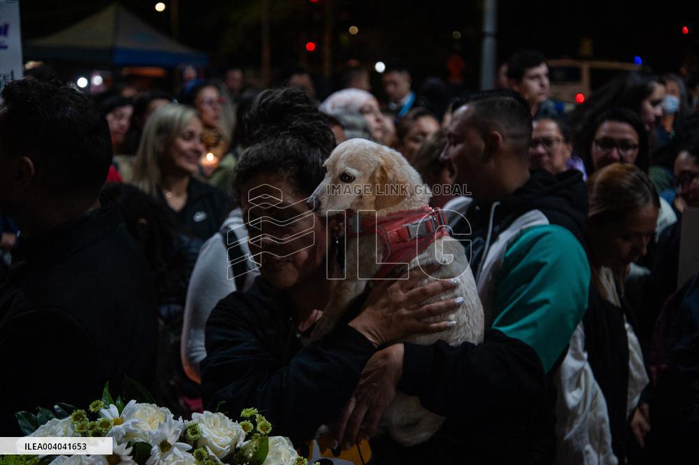 People Mourn the Death of 'Angel' the Dog that Inspired the Law Project Against Animal Violence
