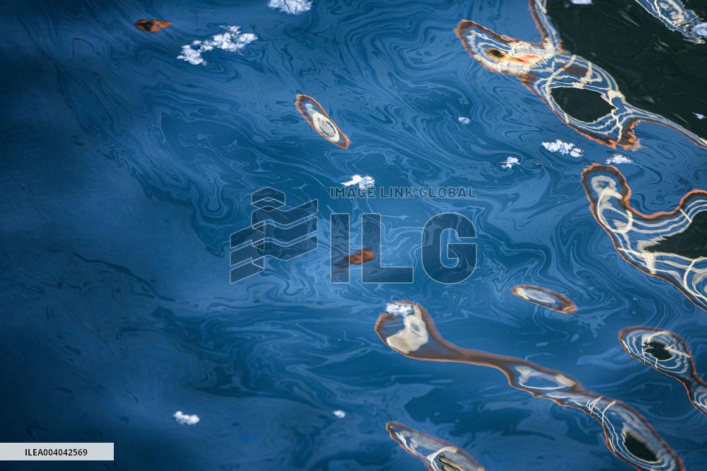 Oil slick at the Noblessner Harbor