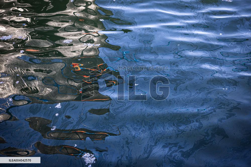 Oil slick at the Noblessner Harbor