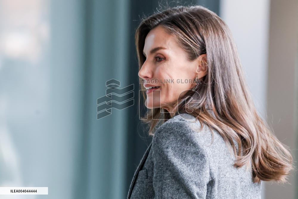 Queen Letizia At FAD Youth Board Of Trustees Meeting - Madrid