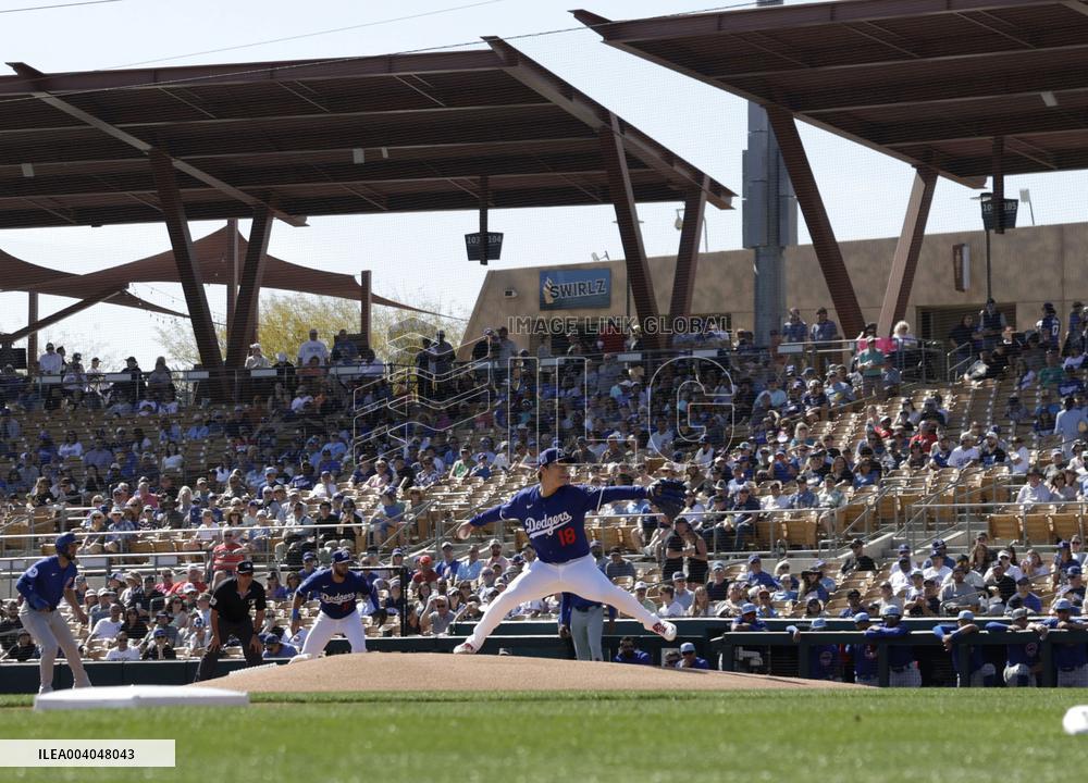 Baseball: MLB spring training