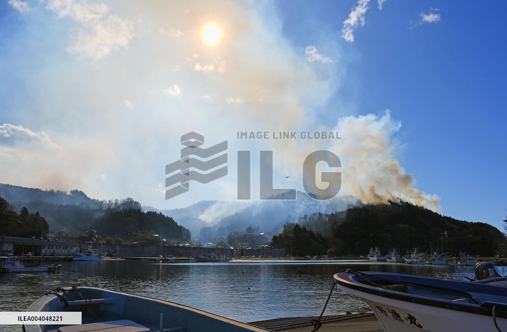 Forest fire in northeastern Japan
