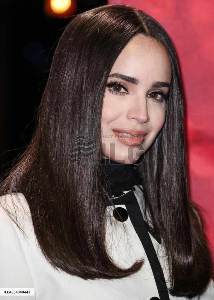 31st Annual Screen Actors Guild Awards Media Preview And Menu Reveal