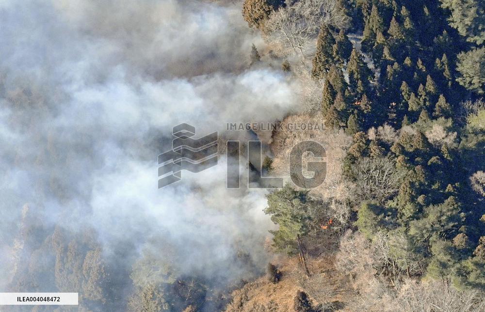 Forest fire in northeastern Japan