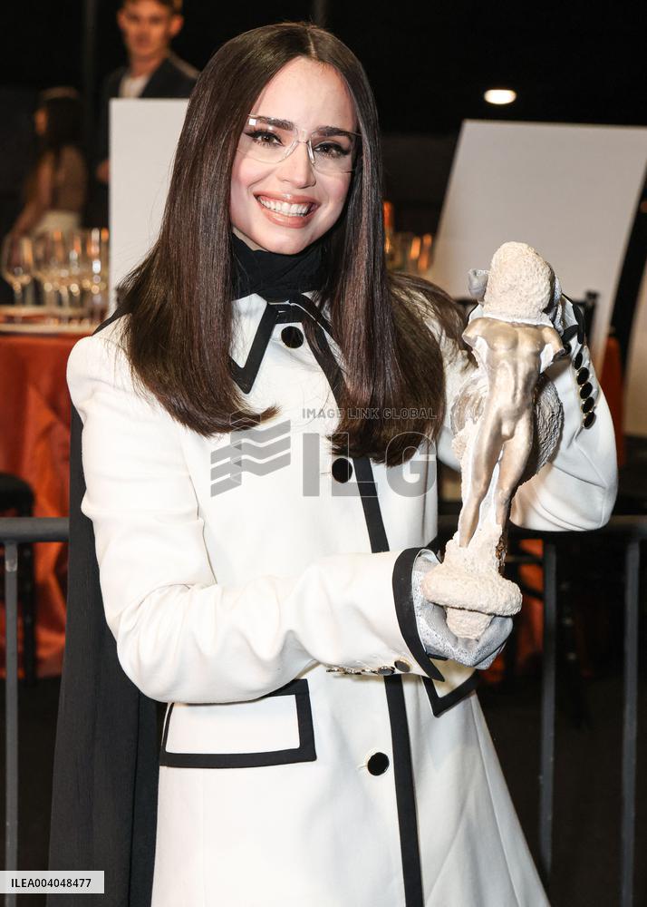 31st Annual Screen Actors Guild Awards Media Preview And Menu Reveal