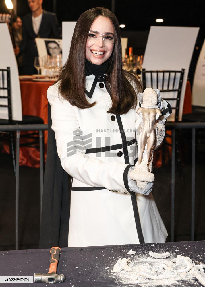 31st Annual Screen Actors Guild Awards Media Preview And Menu Reveal