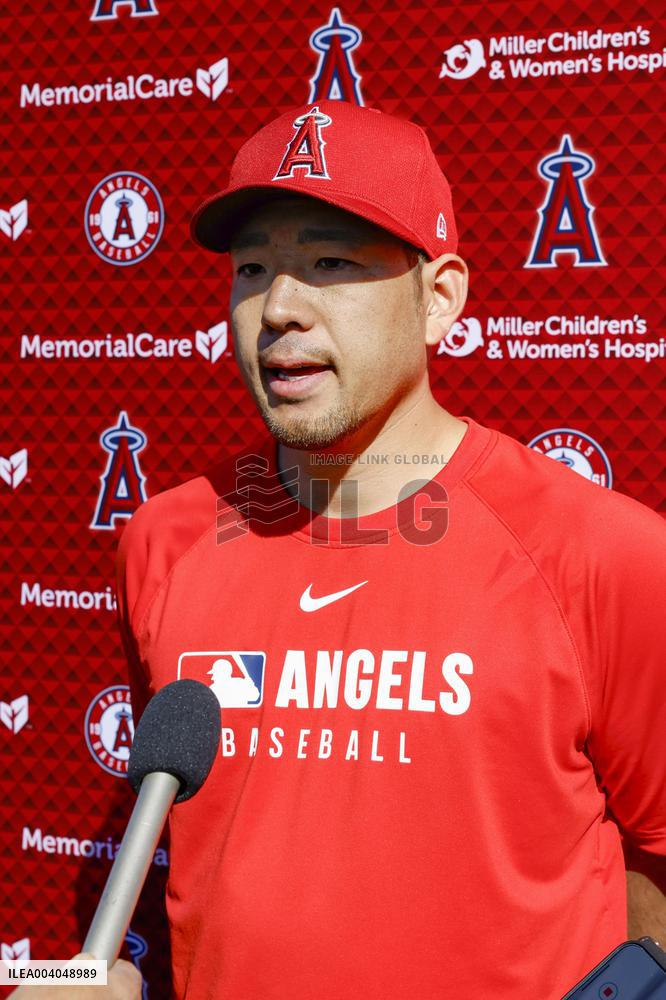 Baseball: MLB spring training