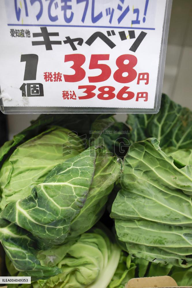 Cabbage prices surging in Japan