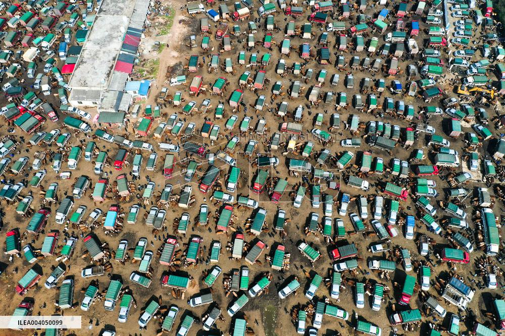 Livestock Market - China