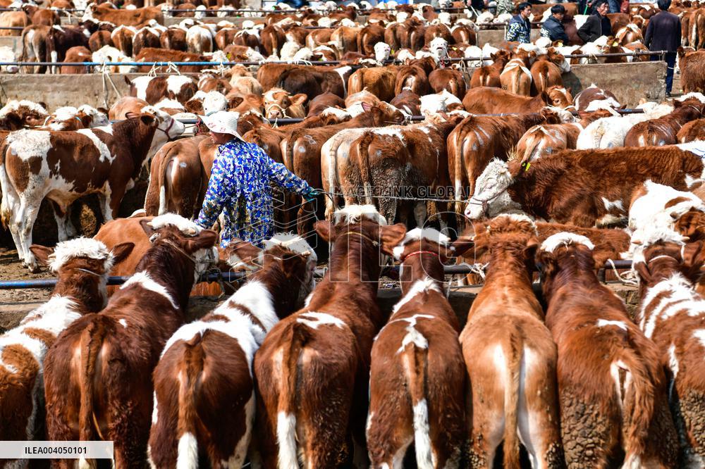 Livestock Market - China