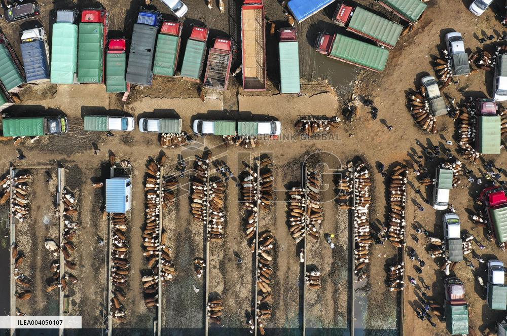 Livestock Market - China