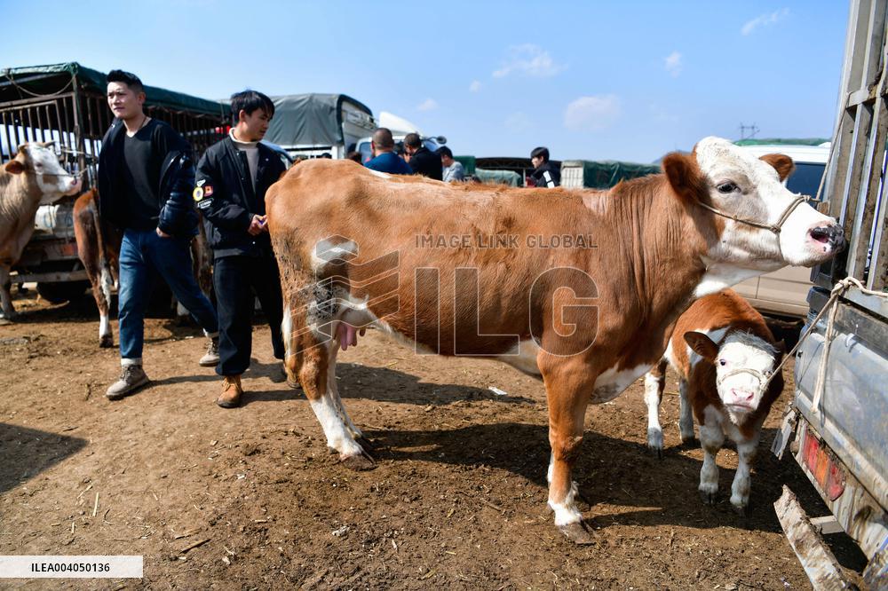 Livestock Market - China