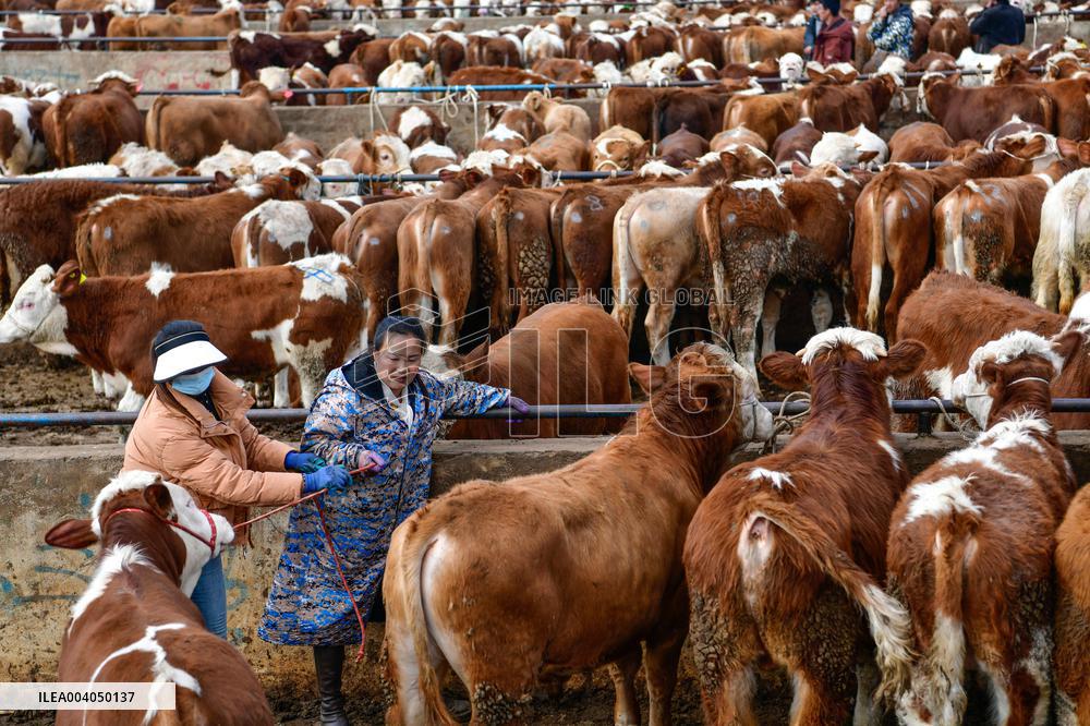 Livestock Market - China