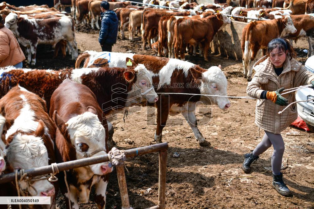 Livestock Market - China