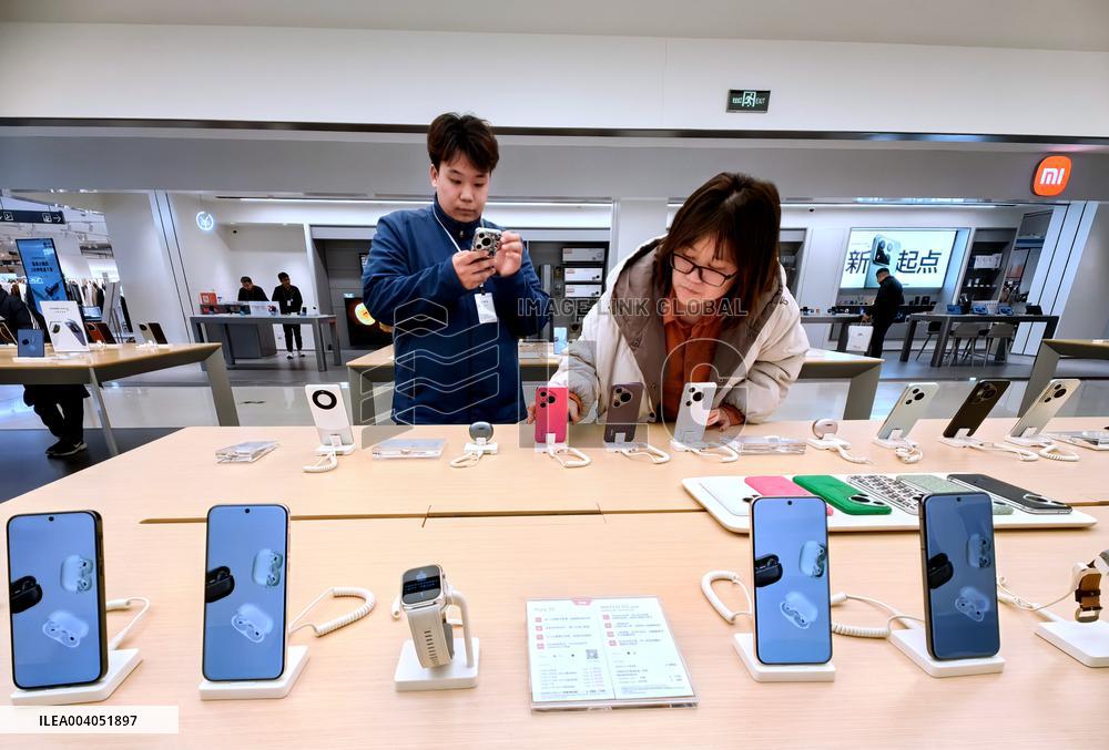 State Subsidies for Digital Products