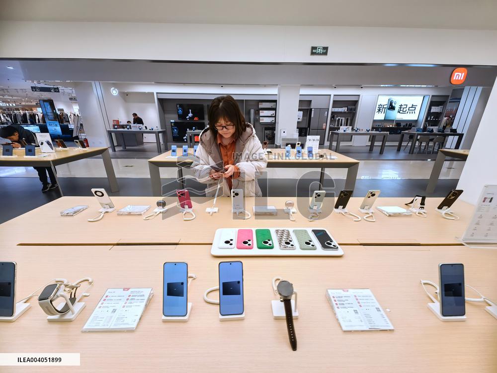 State Subsidies for Digital Products