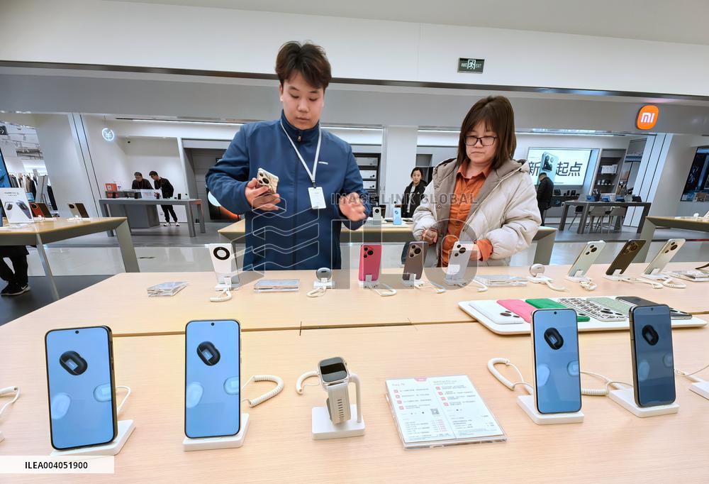 State Subsidies for Digital Products