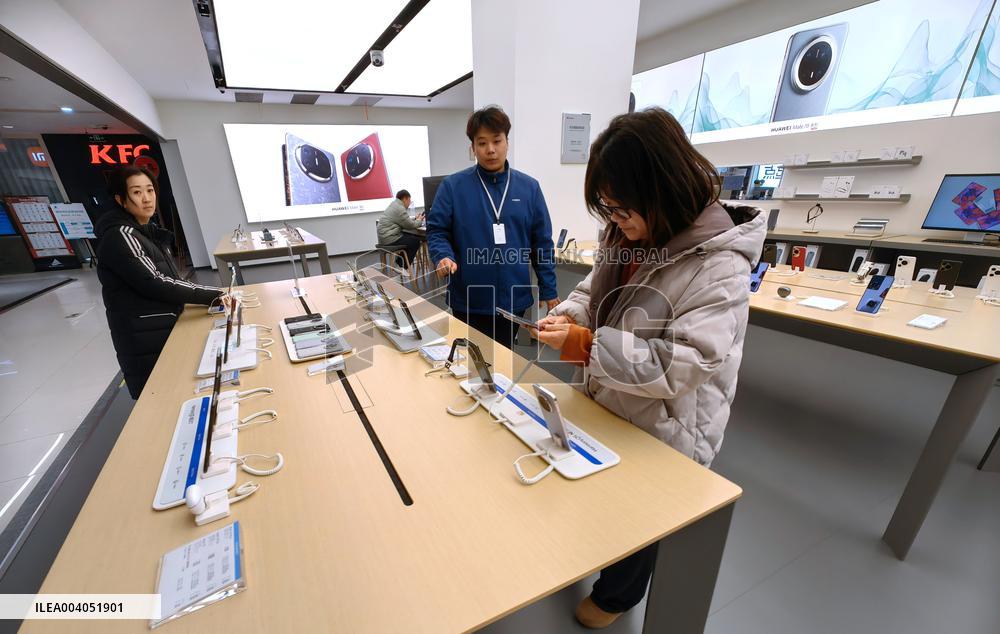 State Subsidies for Digital Products