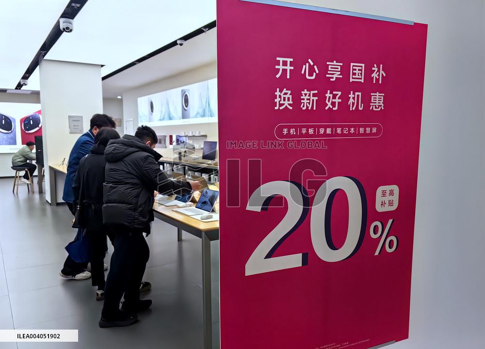 State Subsidies for Digital Products