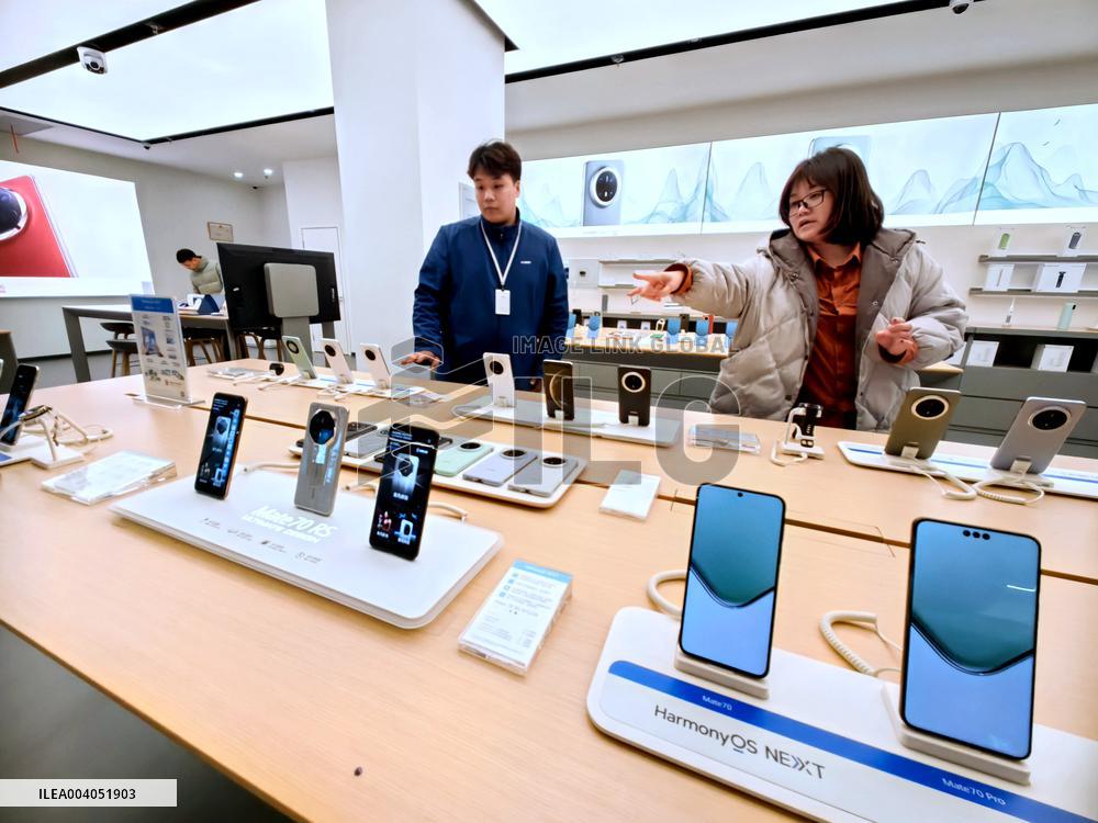 State Subsidies for Digital Products