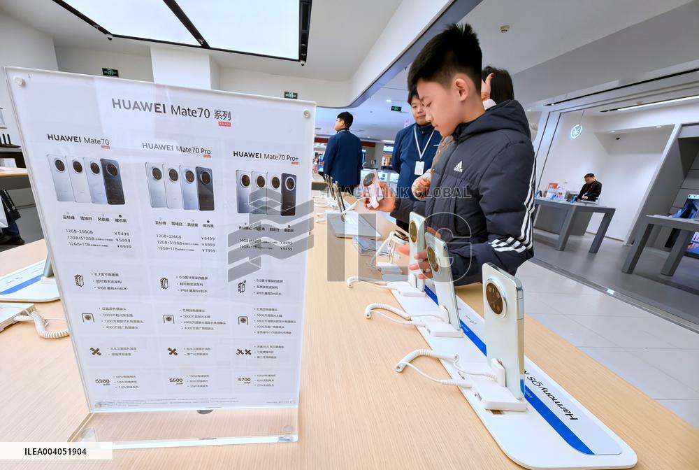 State Subsidies for Digital Products