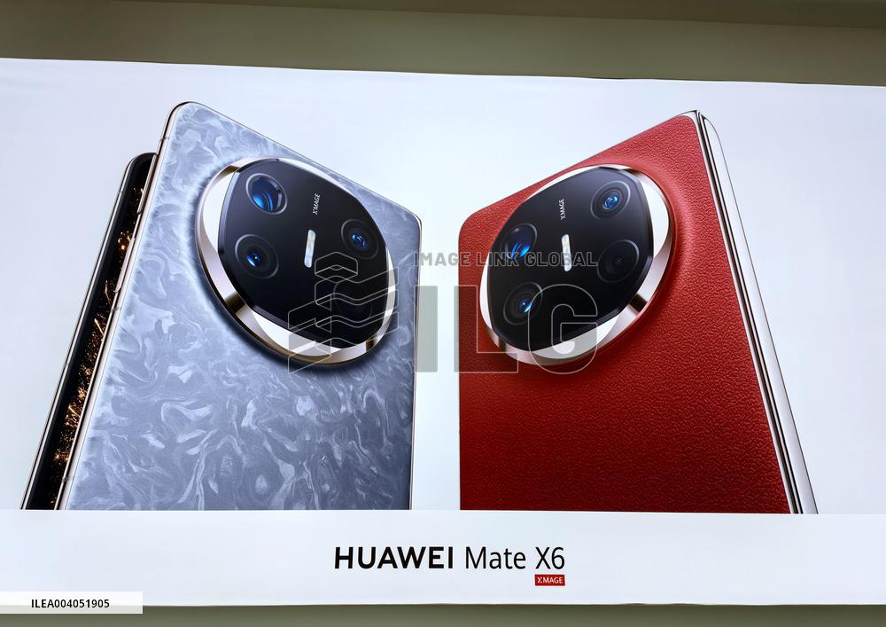 State Subsidies for Digital Products