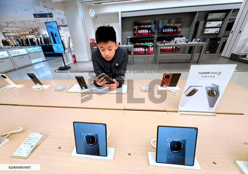 State Subsidies for Digital Products