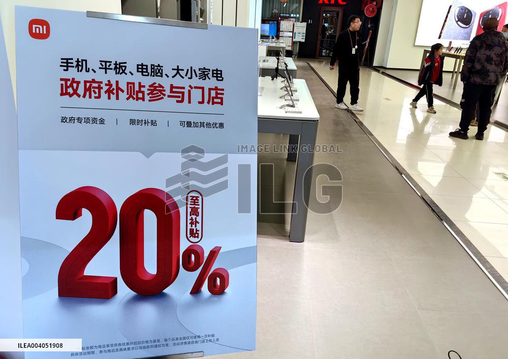 State Subsidies for Digital Products