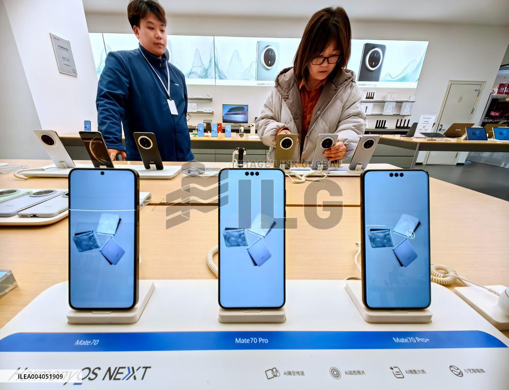 State Subsidies for Digital Products