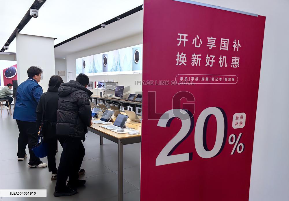 State Subsidies for Digital Products