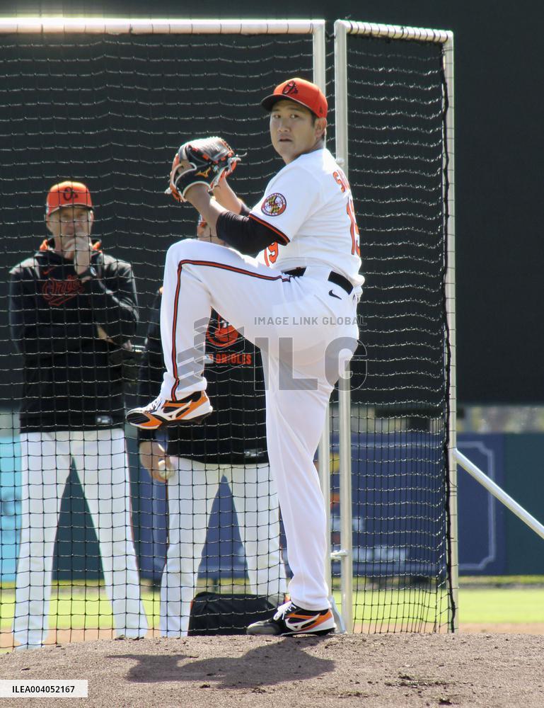 Baseball: MLB spring training