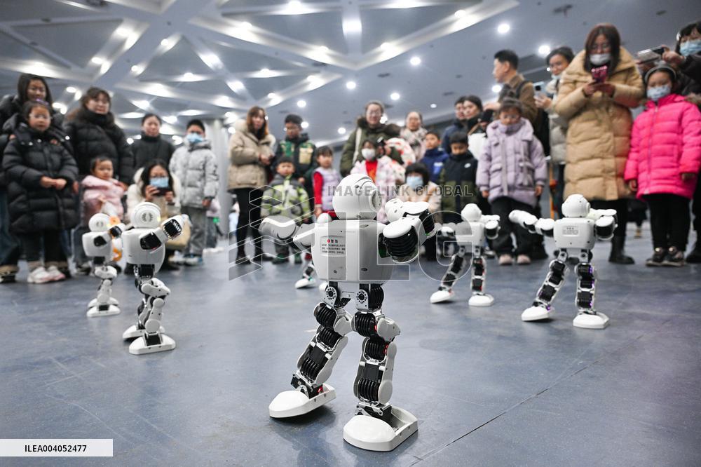 2025 Popular Science ｡､AI Robot Exhibition in Nanjing