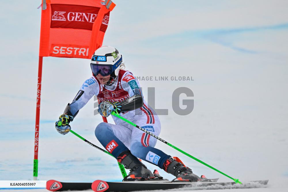 SPORT INVERNALI - Sci Alpino - AUDI FIS Ski World Cup - Giant Slalom - Women