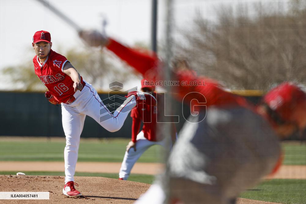 Baseball: MLB spring training