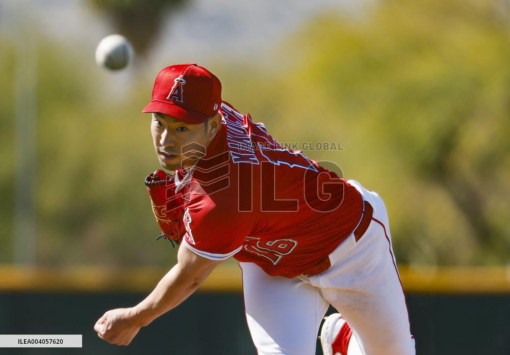 Baseball: MLB spring training