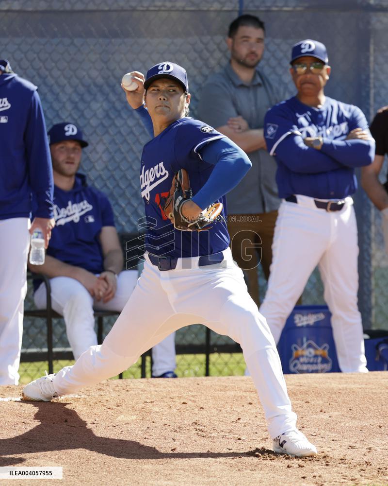 Baseball: MLB spring training