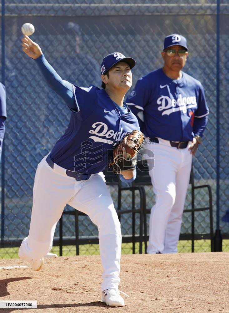 Baseball: MLB spring training