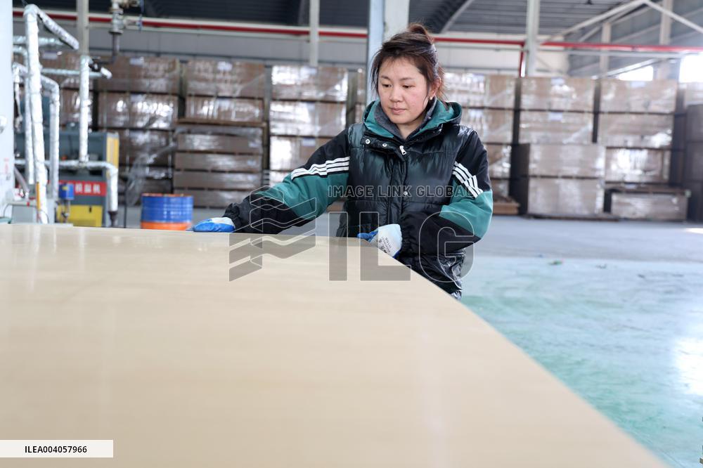 World First Aldehyde-free Density Board Production Line