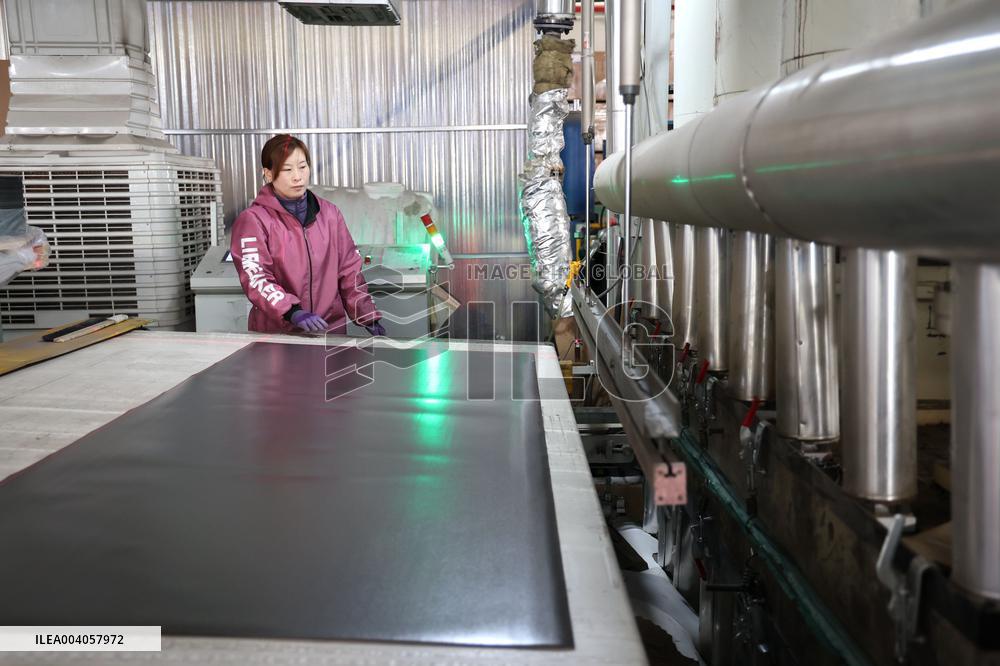 World First Aldehyde-free Density Board Production Line