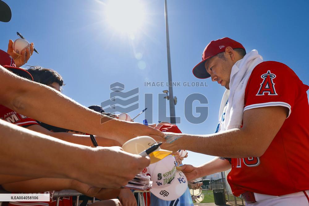 Baseball: MLB spring training