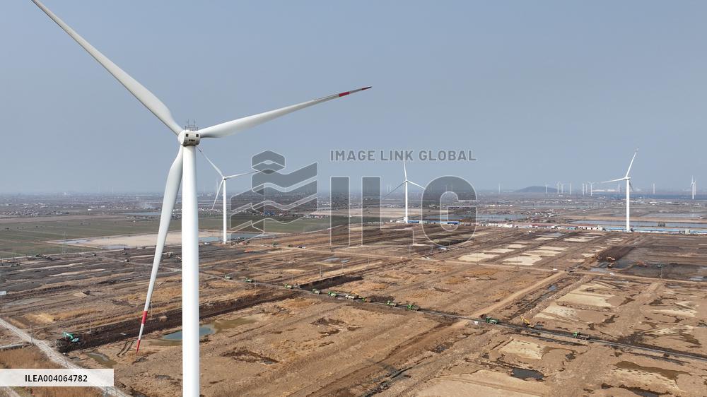 Saline-alkali Soil Improvement in Lianyungang