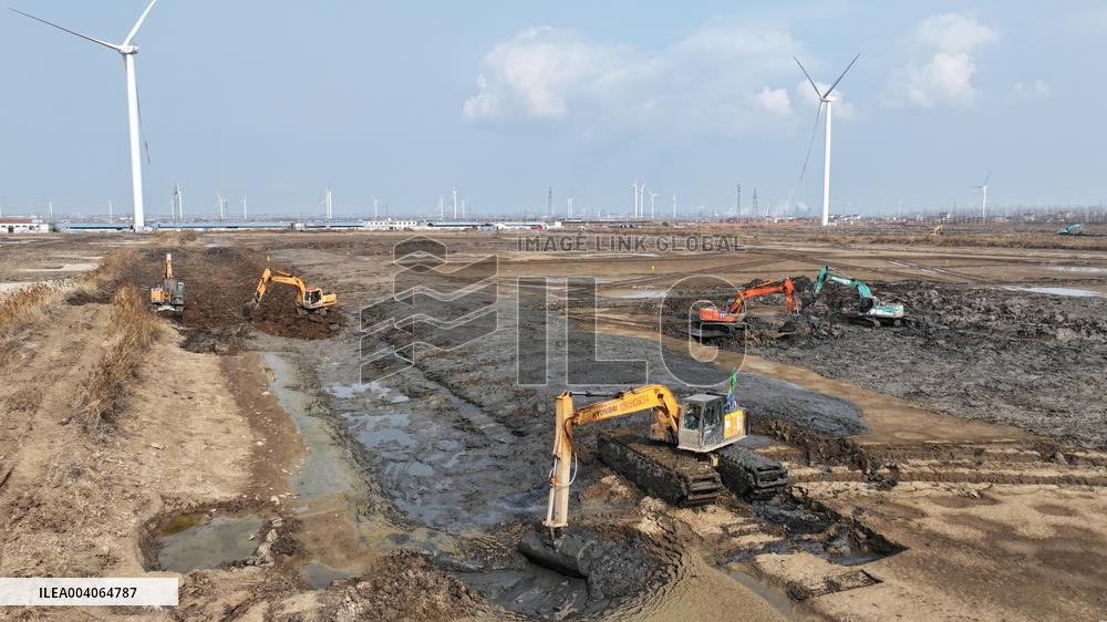 Saline-alkali Soil Improvement in Lianyungang