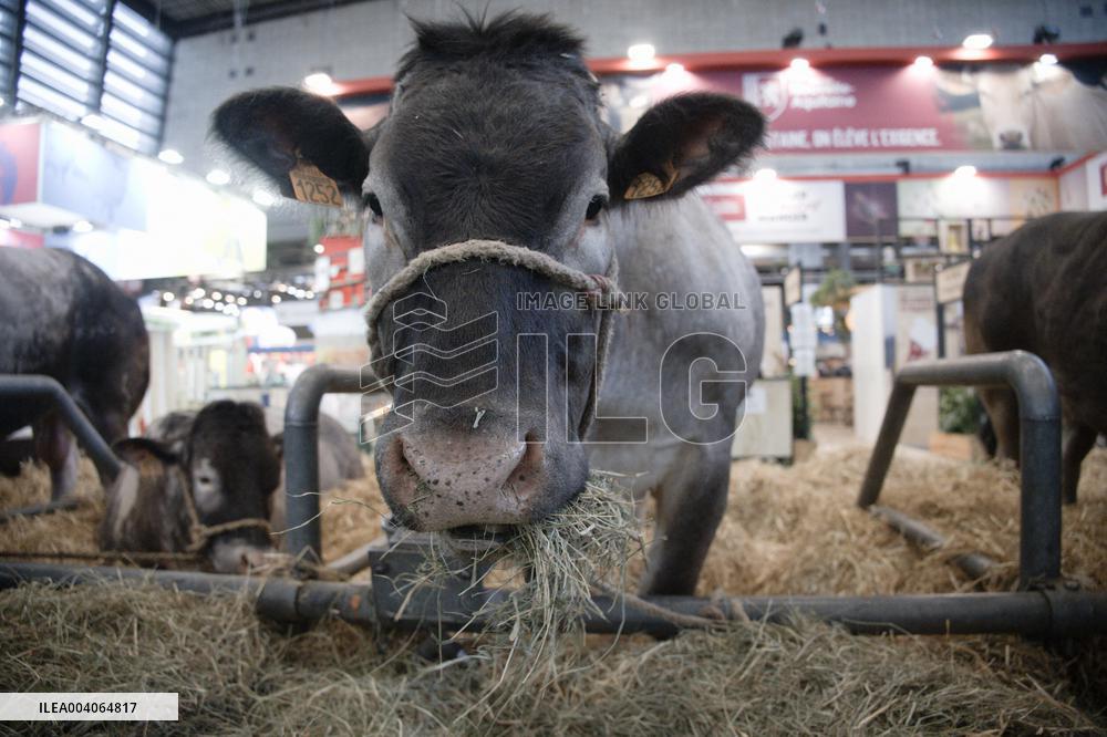 French President Inaugurates International Agricultural Exhibition - Paris