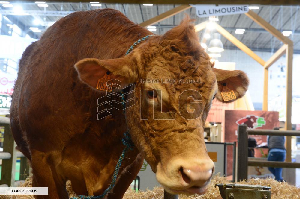 International Agricultural Exhibition - Paris