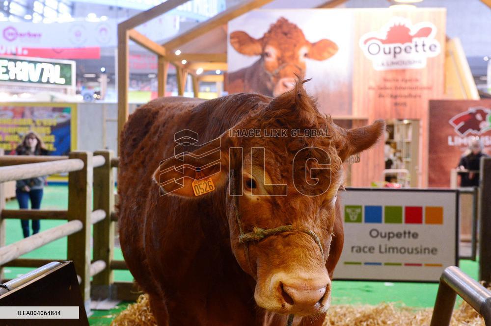 International Agricultural Exhibition - Paris