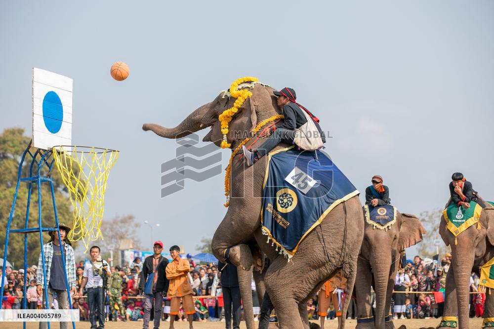 Elephant Festival - Laos