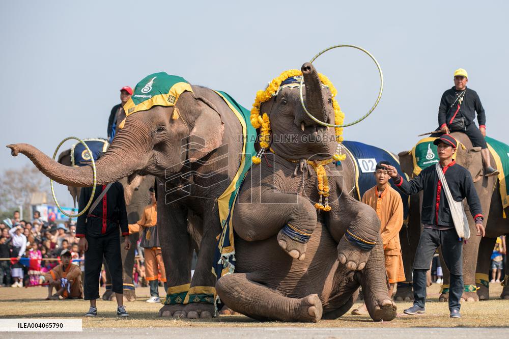 Elephant Festival - Laos