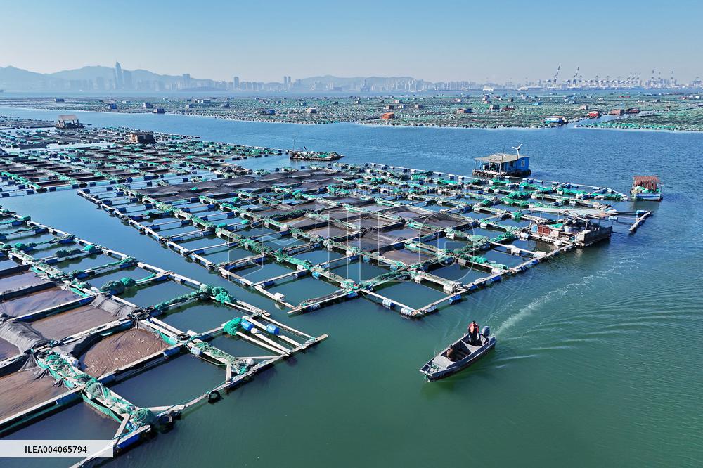 Mariculture